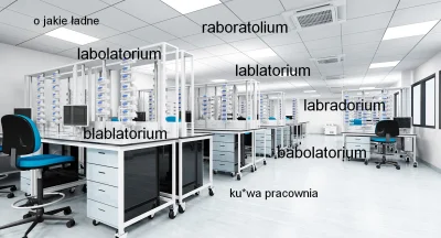 nanorurki - ech nic tak nie wkurza jak notoryczne przekręcanie słowa laboratorium (－‸...