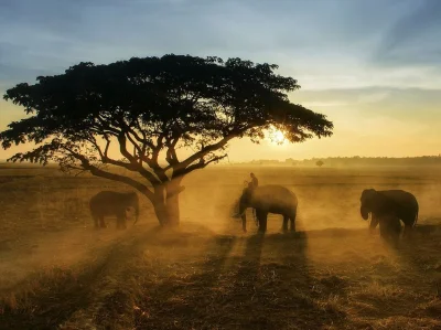 leniuchowanie - Zdjęcie dnia National Geographic
#zdjeciednia