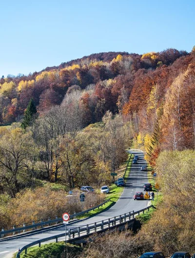 Artktur - Brzegi Górne

#fotografia #mojezdjecie #bieszczady #exploworld #earthporn