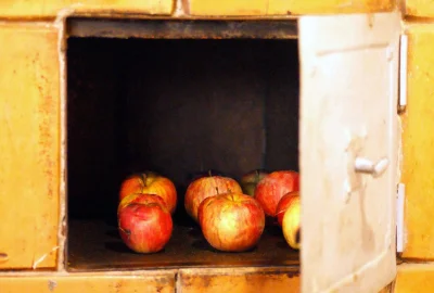 PajonkPafnucy - Zimowe wieczory przy piecu i jabłka z duchówki, kto miał przyjemność?...