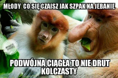 L.....s - #polskiedrogi #heheszki #nosacz