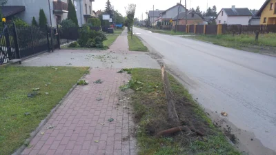Maxxxiuuu - Polscy patrioci zaorali lewackie drzewko...
#patologia