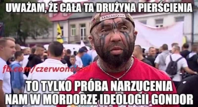 Rayan564 - #humorobrazkowy #lgbt #heheszki #bekazprawakow #lotr #wladcapierscieni