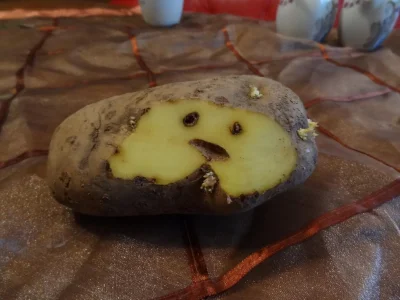 pogop - obieram ziemniaka, patrzę, a on patrzy na mnie...



#humorobrazkowy #gotujzw...