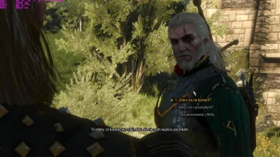 Kazak77 - Paskudny ten Geralt po eliksirach.
#wiedzmin3