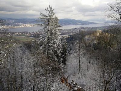 ania-nowak1231 - Pozdrowienia mirki z Zurychu. W dolinie śnieg się nie trzyma, ale ju...