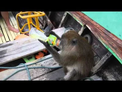 Sinti - @adamec: Jak naoglądałem się tych małp z kurortów turystycznych jak kradną to...
