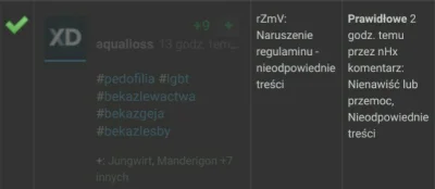 falszywyprostypasek - Prawak wrzucał fejka o LGBTP, propagującego pedofilię. 
Homofob...