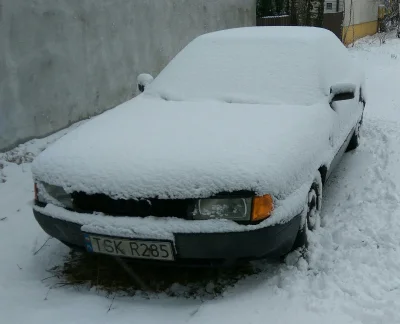 Wextor - @TypowyPolskiFaszysta moja taka w śniegu :D