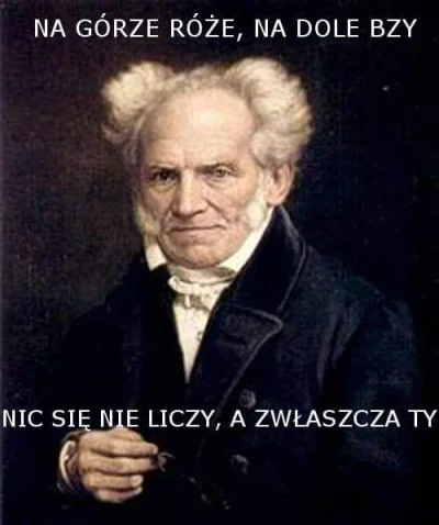 qerezz - #void #polecampoczytacschopenhauera #humorobrazkowy #heheszki