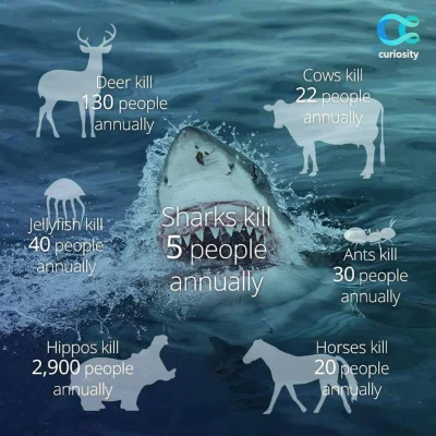 GraveDigger - Czemu wszyscy boją się rekinów?
#zwierzaczki #ciekawostki