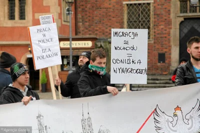 guwnosienie_poli - To było do przewidzenia już podczas ubiegłych wakacji... Ukraińcy ...