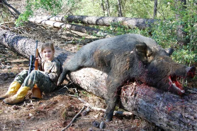 kostucha - Wild hog-ów w texasie jest za dużo więc strzelaniem do nich możesz zajmowa...