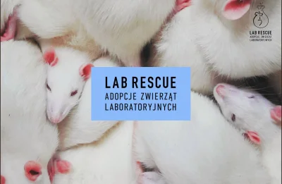 A.....A - Polecam
Lab Rescue - adopcje zwierząt laboratoryjnych
https://www.faceboo...