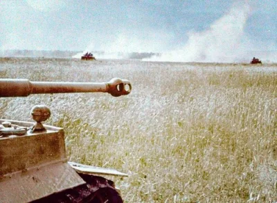 wojna - Niemieckie czołgi Panzer VI "Tygrys" w polu pszenicy, front wschodni, Rosja.
...