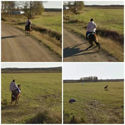 antipathia - Koń spłoszył się na widok samochodu Google Street View, a ten uwiecznił ...
