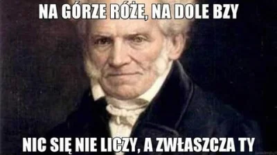 pitrek136 - #shopenhauer #heheszki #mem