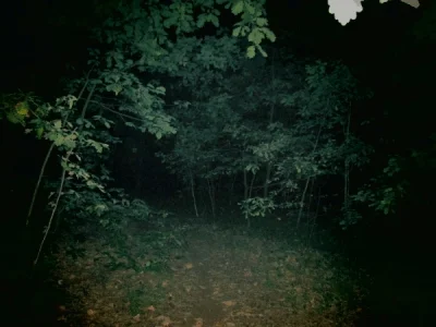 LostHighway - #takietam z #las Szybki test. Składane z #fotografia #aparat + #latarka...