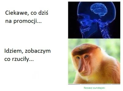 cpuant2 - Promocja w markecie :)

#polak #humorobrazkowy #heheszki #nosaczsundajski