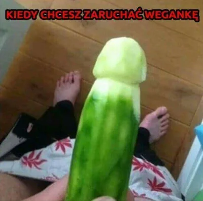 Nort - #heheszki #humorobrazkowy #bekazwegan #bekazwegetarian