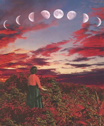 avrilerox - Karen Lynch Crimson Paradise #art #collage