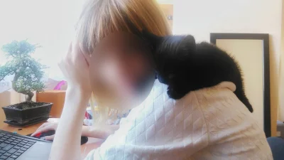Davved - Mój koci diabełek poskromiony - Zuzia zasnęła na jej ulubionym miejscu. Moim...