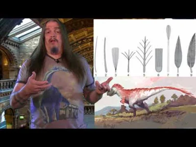 Trajforce - Systematic Classification of Life - ep32 Eutheria


#paleontologia #pa...