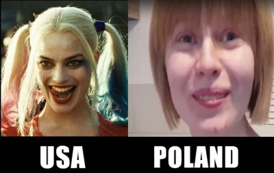 K.....9 - Jaki kraj taka Harley Quinn

#polskiyoutube #rafatus