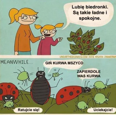 peysowy - ( ͡° ͜ʖ ͡°)
#humorobrazkowy #bojówkabiedronek #heheszki