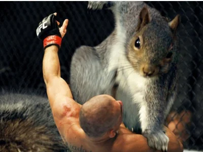 W.....s - @nerdianek wiewiórkę se kup to cię MMA nauczy ( ͡º ͜ʖ͡º)