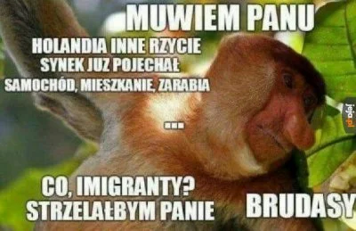 Fobiczek - To jeden z moich ulubionych nosaczy, a jestem prawakiem! ( ͡° ͜ʖ ͡°)
#pol...