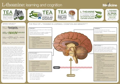 tomosano - Dlaczego warto pić zieloną herbatę - zobacz jak korzystnie wpływa na funkc...