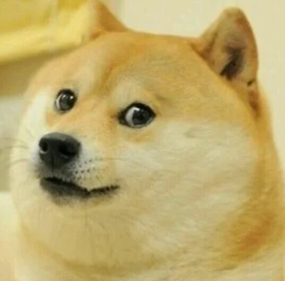 W.....o - @Xavax: Przecież to Doge!