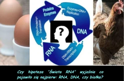 bioslawek - Nauka, biologia, ewolucja, abiogeneza


Ewolucjoniozm jest dobrodziejs...