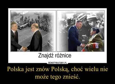 PanChomik - A #KOD Próbuje ODKować Polskę.