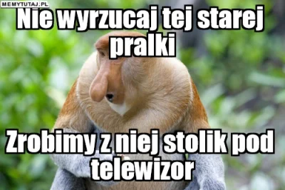 PawelW124 - #humor #heheszki #polak #polskiedomy #cytrynigumiak #nosaczsundajski #nos...