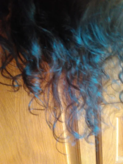 Twinkle - Dobra, dzisiaj z kolei good hair day.
@Visavis: Biauek ukradł zdjęcie.
#pok...