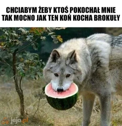 K.....v - #heheszki #humorobrazkowy