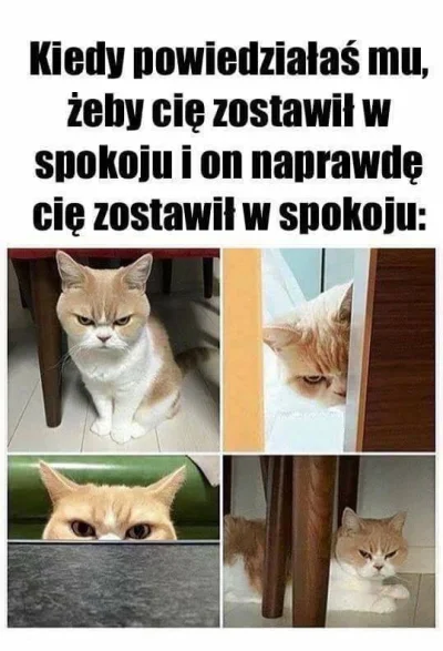 s.....3 - Pewnie #byloaledobre. Co sie usmialam to moje. Dzien dobry! ʕ•ᴥ•ʔ 
#takapra...