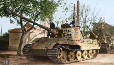 wojna - Dwa Królewskie Tygrysy z 503. Batalionu Czołgów Ciężkich w pobliżu Gyongyos, ...