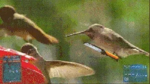 voroshmitov - Takiego nieśmiertelnika to raczej nie macie.

#gry #bf3 #battlefield #b...