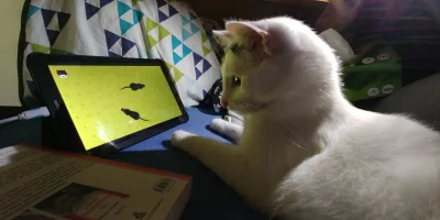 zolwik89 - Mój #kot gra na tablecie. #!$%@? czasy 

#pokazkota #zolwikmakota
