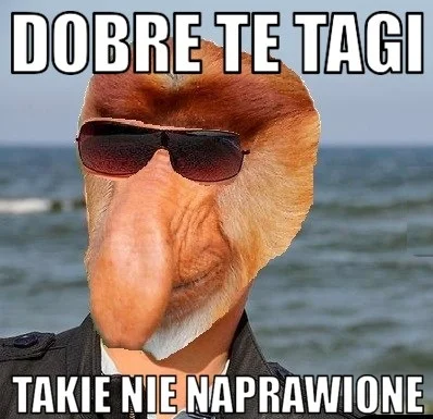 koradek - #nosaczsundajski #tagi #heheszki #memy #humorobrazkowy