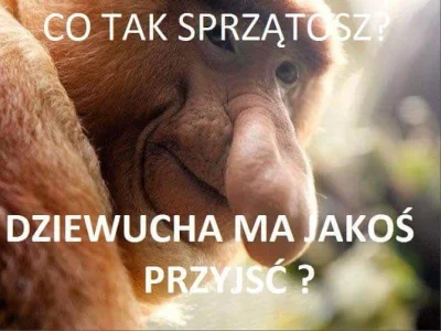 Sadar - Za kazdym razem xd
#nosaczsundajski #heheszki #polak