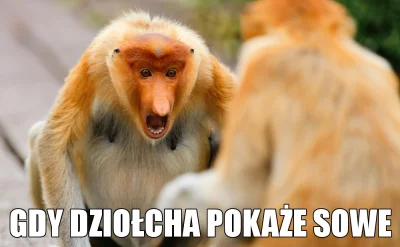 bordozielonka - #pokasowe #heheszki #humorobrazkowy #sexmasterka 
#polak