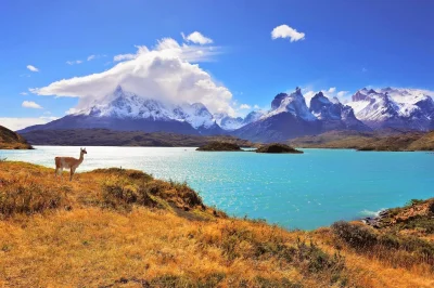 Y.....r - Park narodowy Torres del Paine, Chile

#earthporn #azylboners #gory #foto...