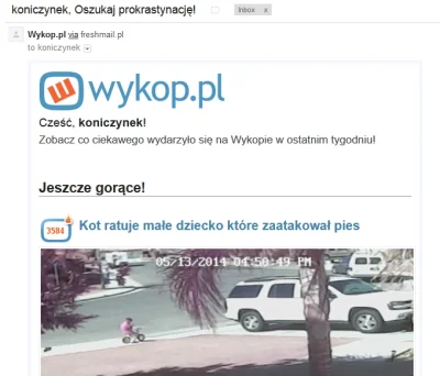 koniczynek - Email namawia do oszukania prokrastynacji. Na pierwszym miejscu wideo o ...