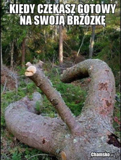 Scot - #zwiazki #sex #heheszki #humorobrazkowy