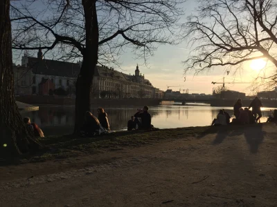 TomekRazDwaTrzy - Piękny dzień we #wroclaw Mirki wychodźcie z domu póki jeszcze słone...