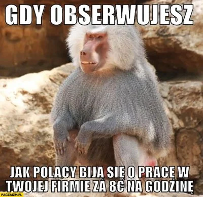 szyderczy_szczur - #polak #niemiec #humorobrazkowy #heheszki